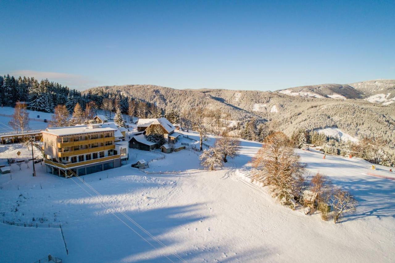 Der Almblick Hotel Strallegg Екстериор снимка